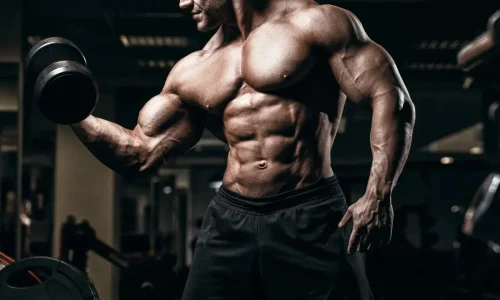 bulking1
